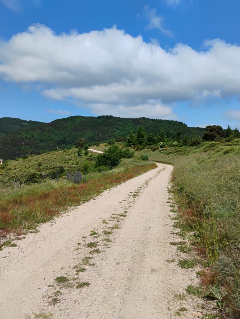 IMG_20250608_110743487